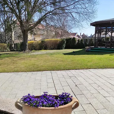 Apartman Carbona 205 *